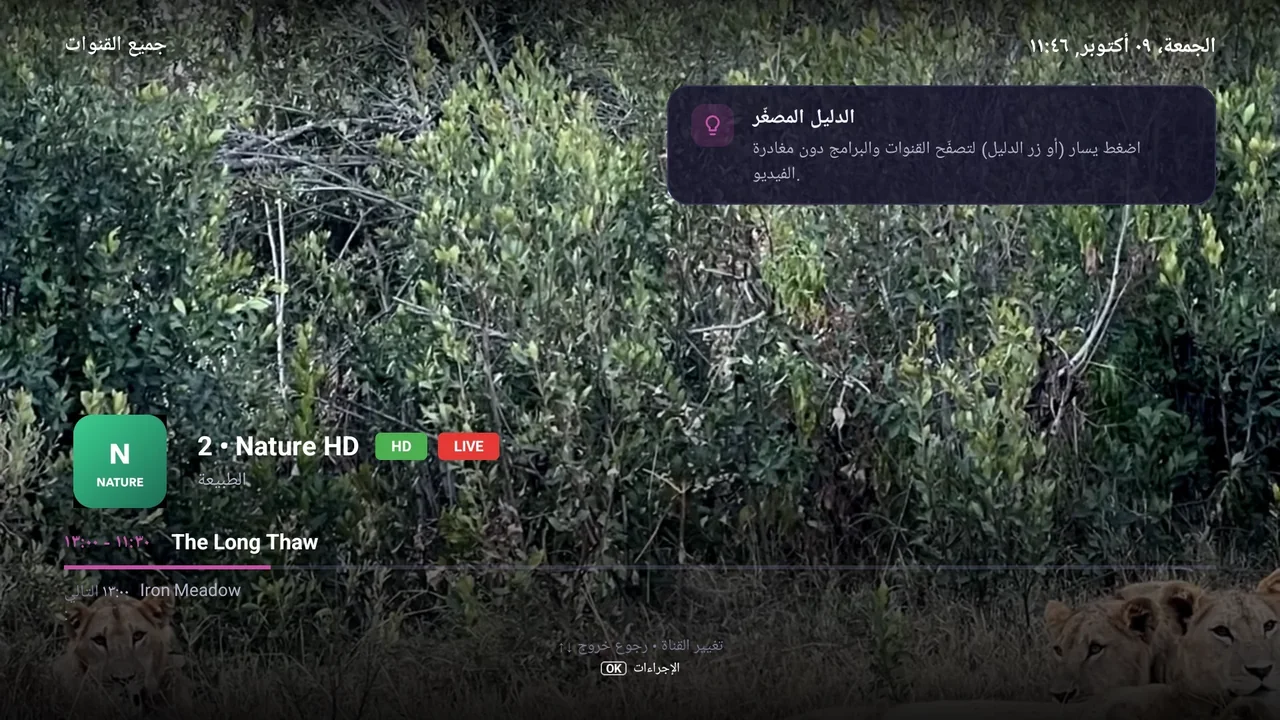 شاشة BurgTV: دليل · التقطيع
