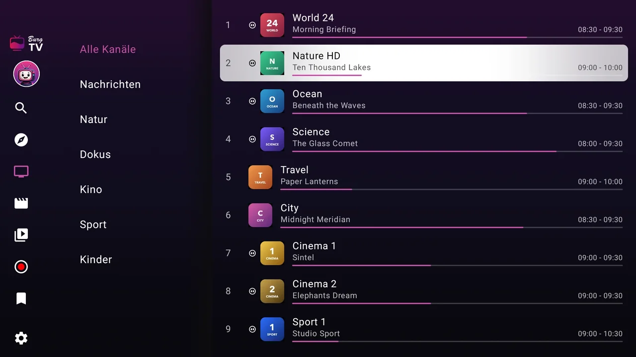 BurgTV auf einem Fire TV: die Senderliste mit den Kategorien links