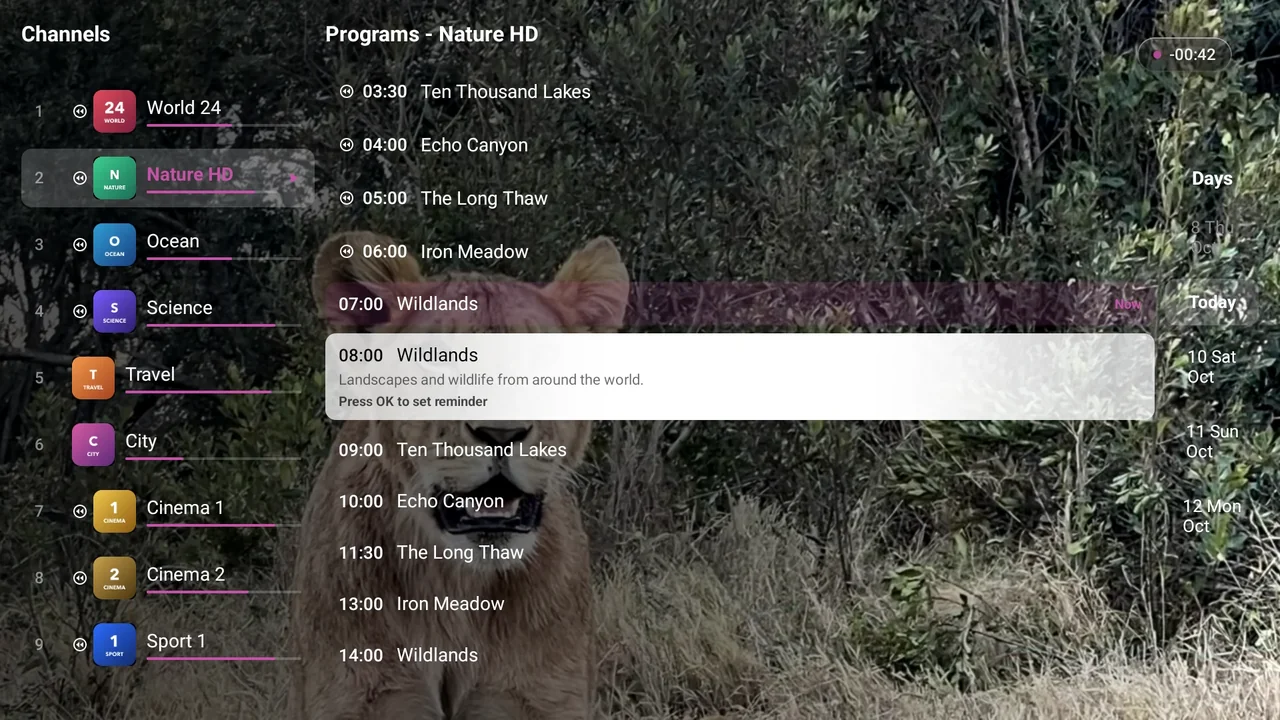 BurgTV TV guide on a television: channel grid with current and upcoming shows, where recordings are scheduled