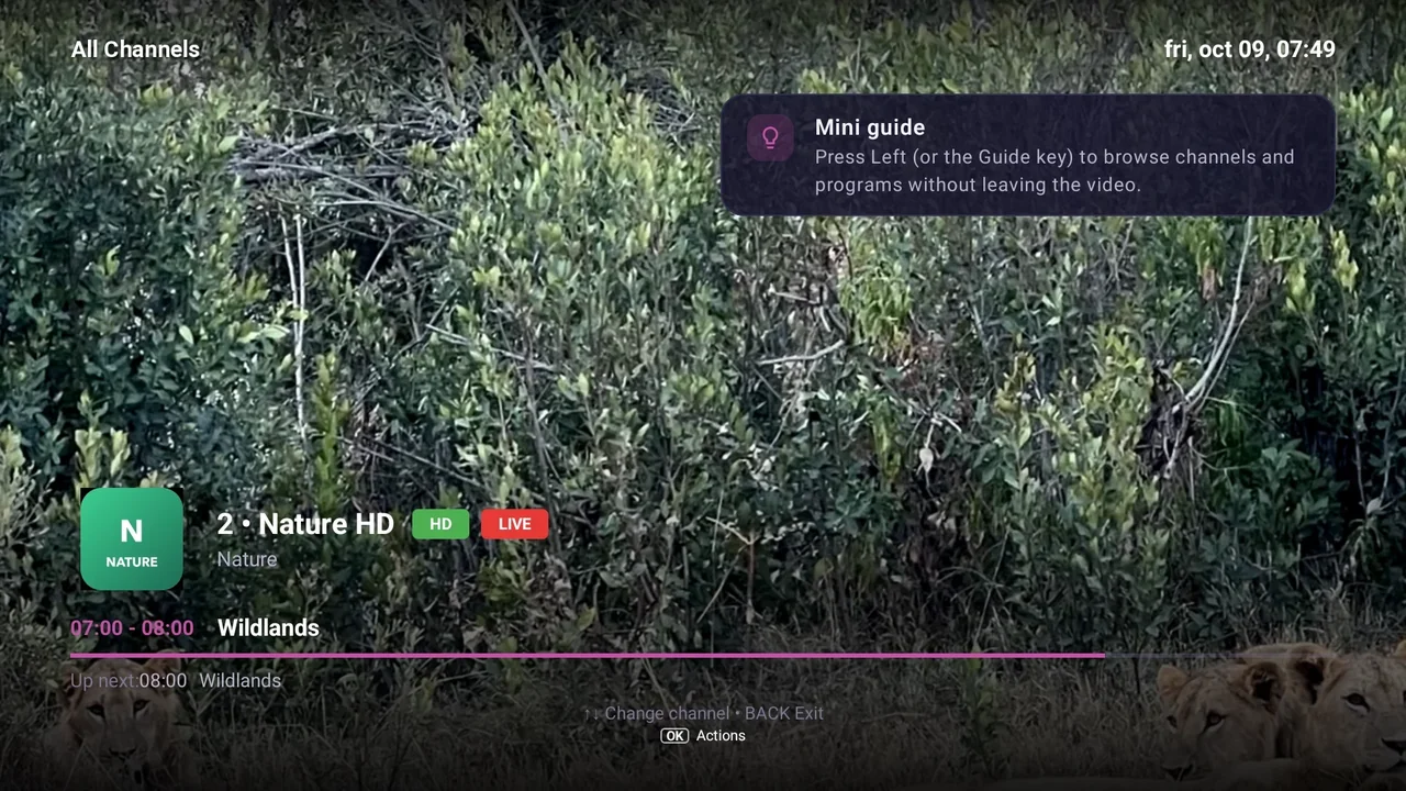 BurgTV screen: Guide · Buffering