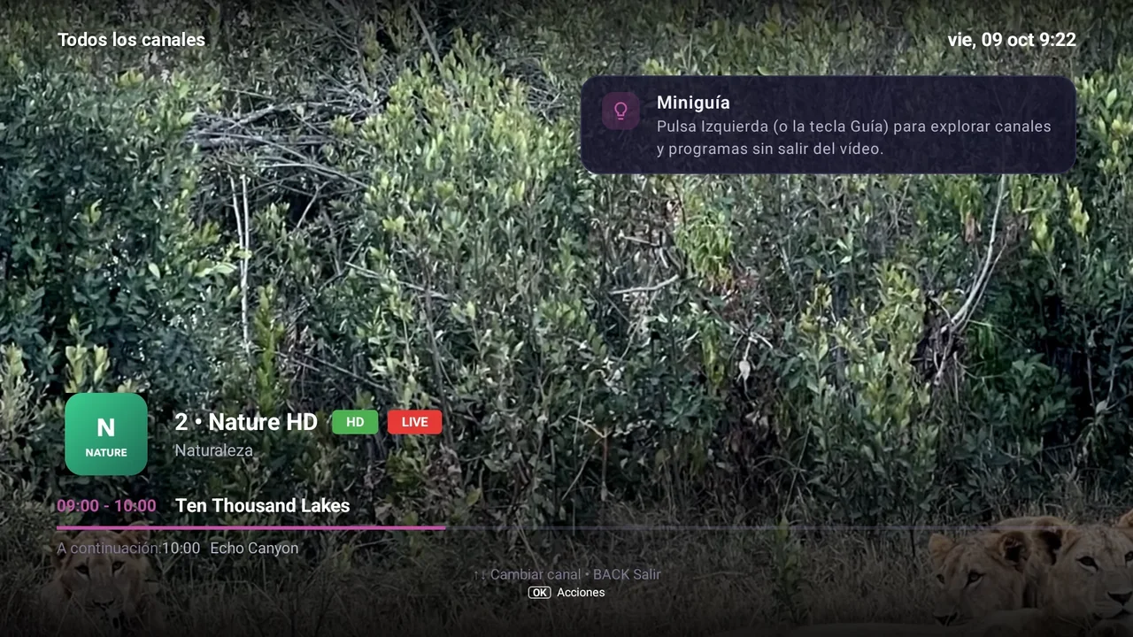 Pantalla de BurgTV: Guía · Buffering