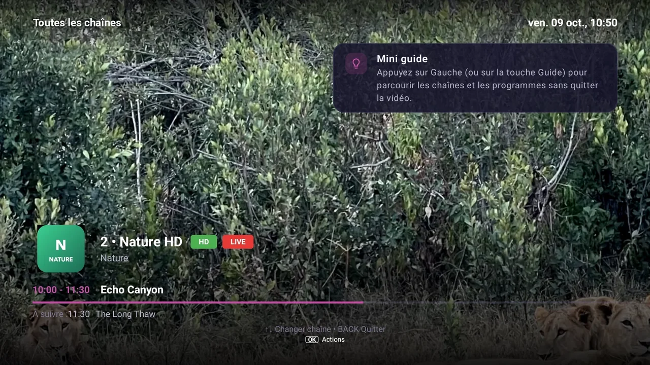 Écran de BurgTV: Guide · Buffering