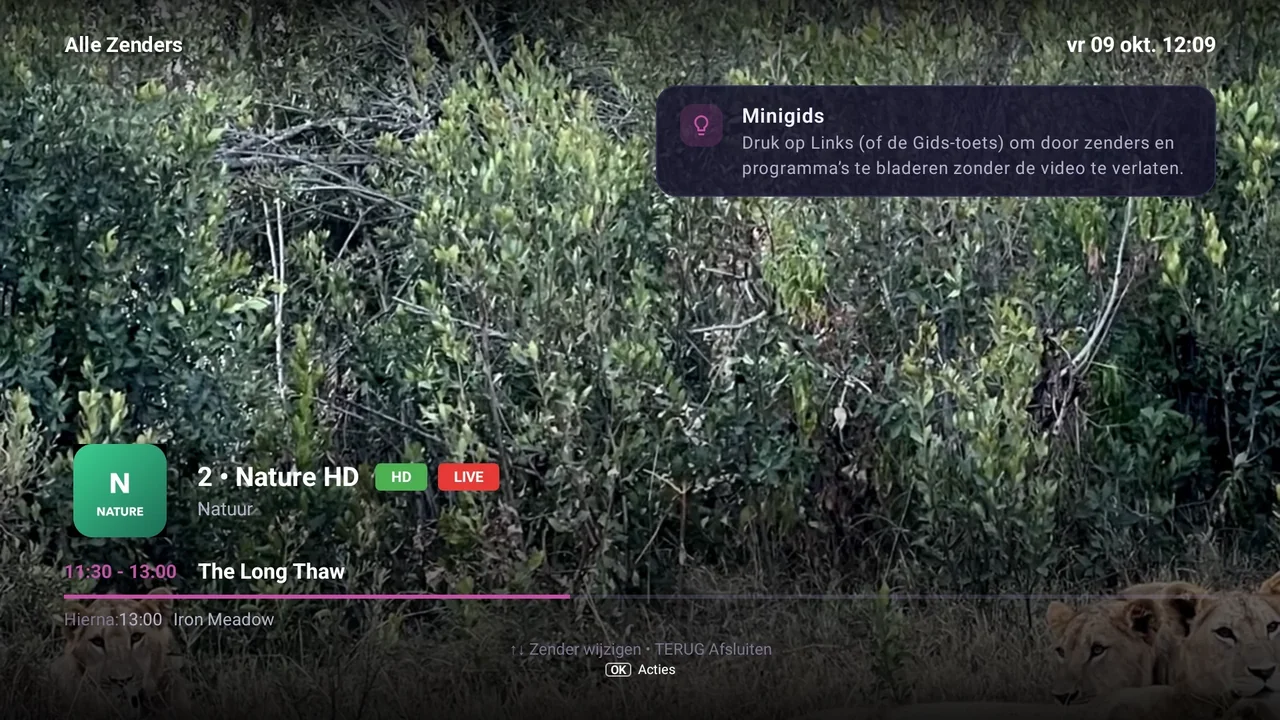 BurgTV-scherm: Gids · Buffering