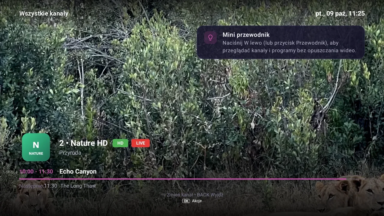 Ekran BurgTV: Poradnik · Buforowanie