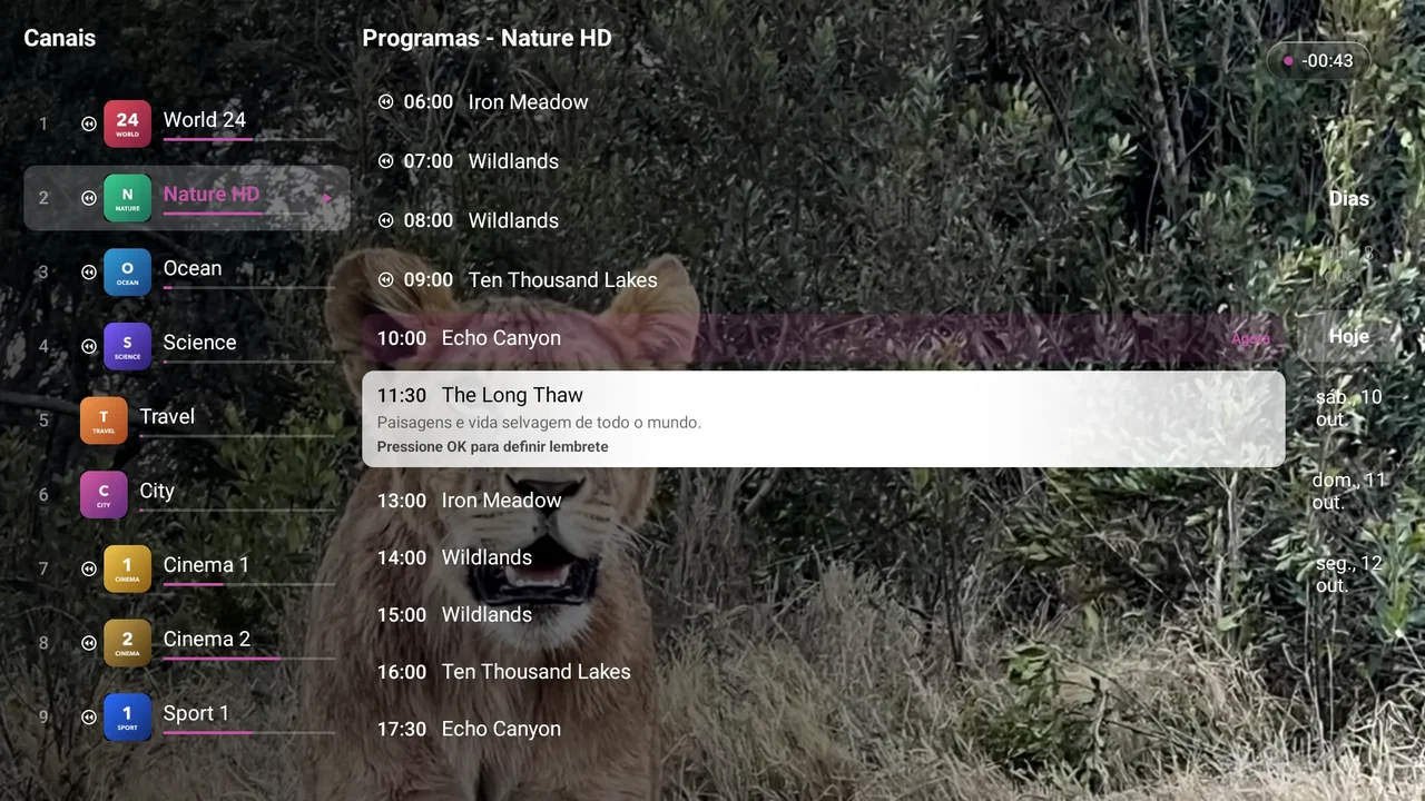Guia de TV do BurgTV em um televisor: grade de canais com programas no ar e a seguir, de onde se agendam as gravações