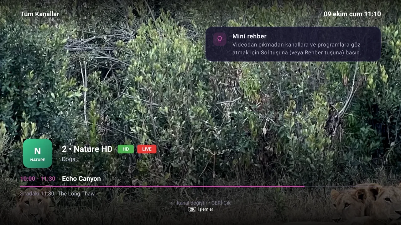 BurgTV ekranı: Rehber · Donma